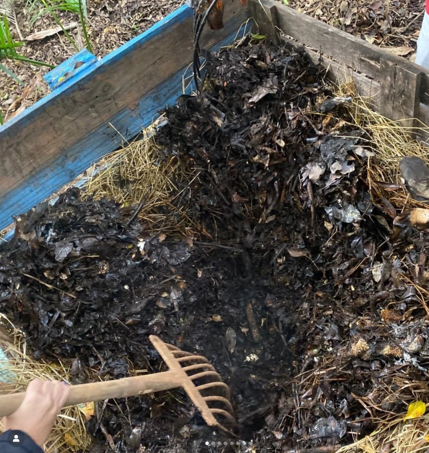 Projeto de compostagem comunitária